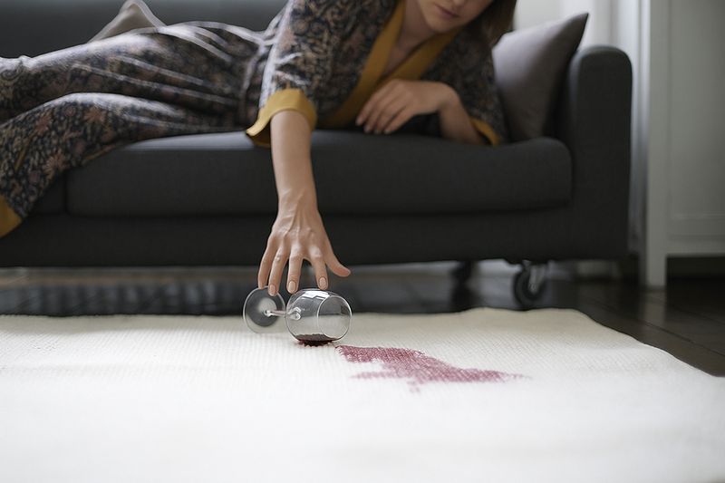 Tapijtreiniging voor huisdiereigenaren: geuren en haren verwijderen